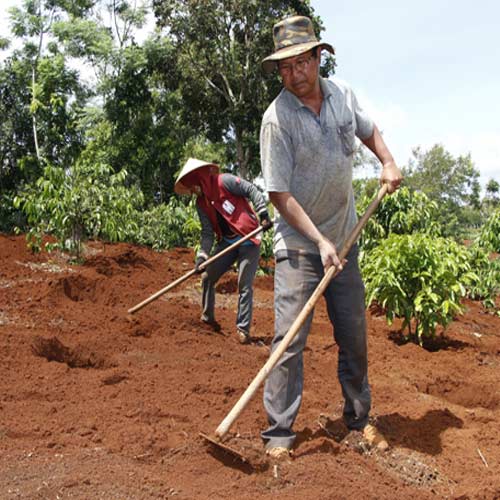 Đất trồng trọt hữu cơ