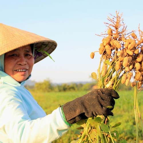 Thử thách đối mặt trong nông nghiệp
